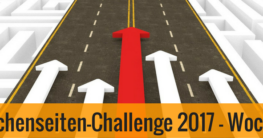Nischenseiten-Challenge 2017 - Woche 1