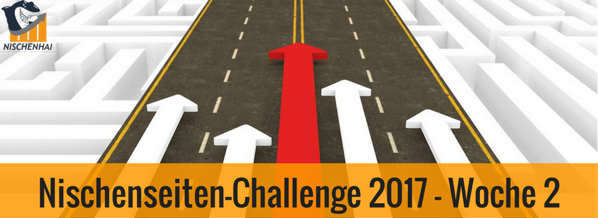 Nischenseiten-Challenge 2017 - Woche 2